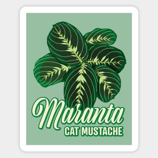 Maranta Cat Mustache Magnet